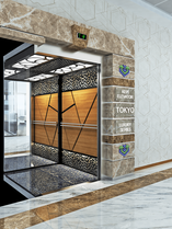 Luxury Elevator for residences