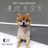 Pets In The City - Mobile Grooming