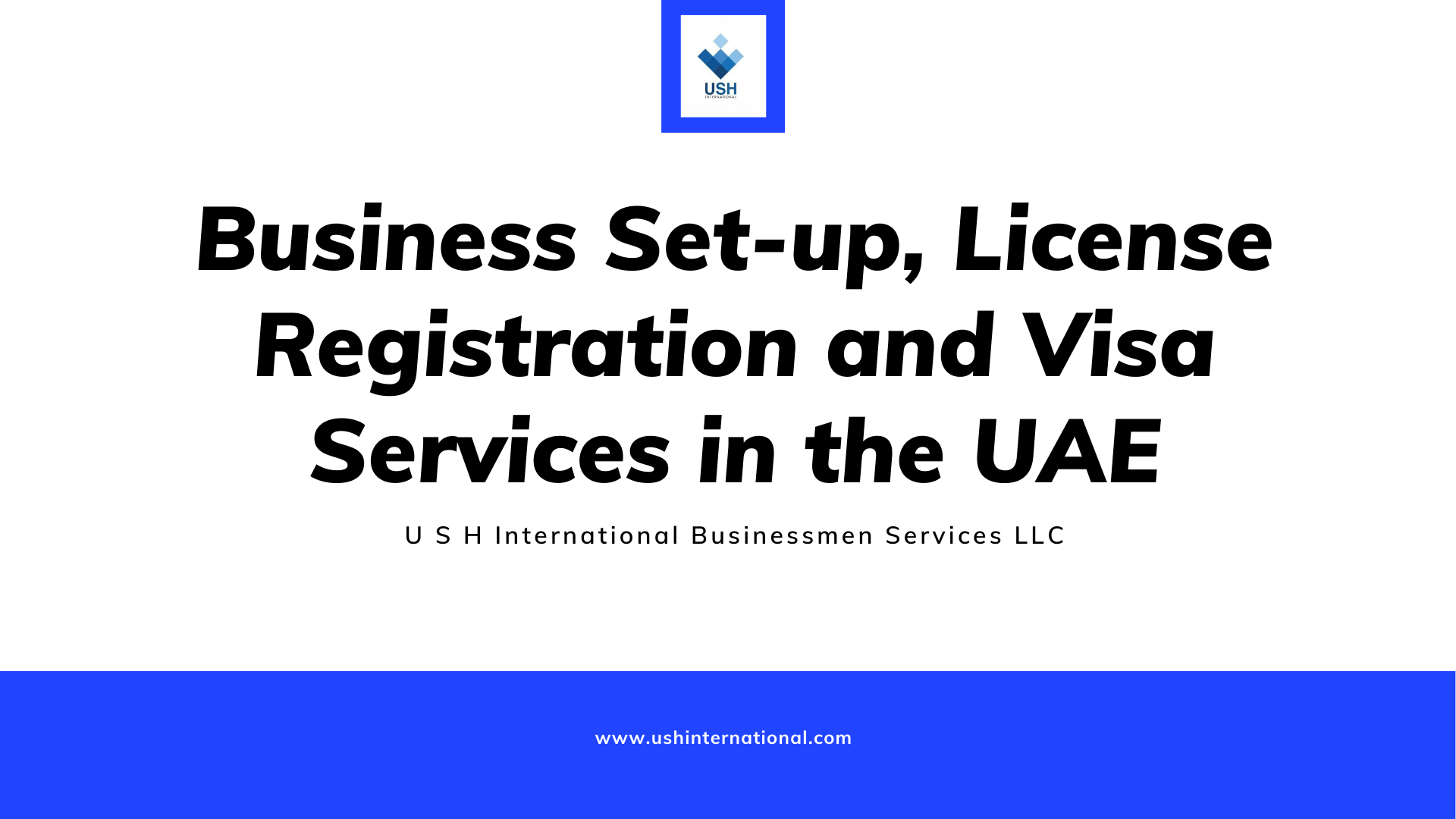 Business Setup | License Registration | PRO | Immigration & Visa Services