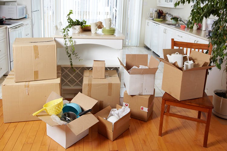 PROFESSIONAL MOVERS PACKERS 0551550451