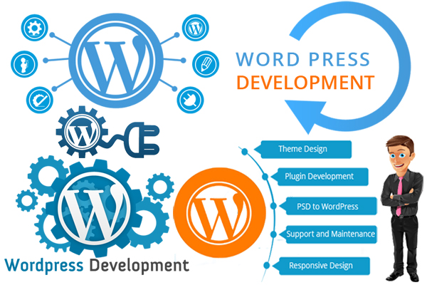 WordPress Design & Development Service in Dubai