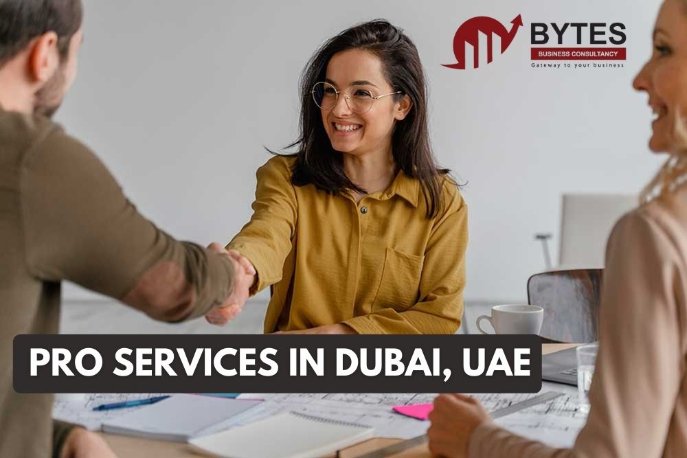Are you planning to Outsource your PRO Services in Dubai?