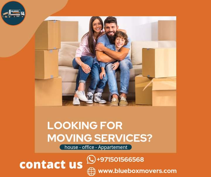 0501566568 BlueBox Movers in Dubai Hills Single item,Villa,Flat,Office move